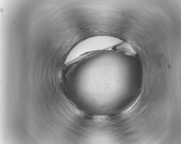 X0000088620192200706221505