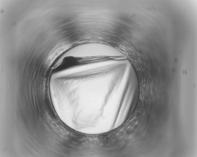 X0000088620194200706221504