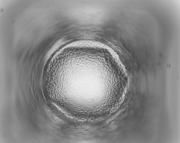 X0000088620195200706221504