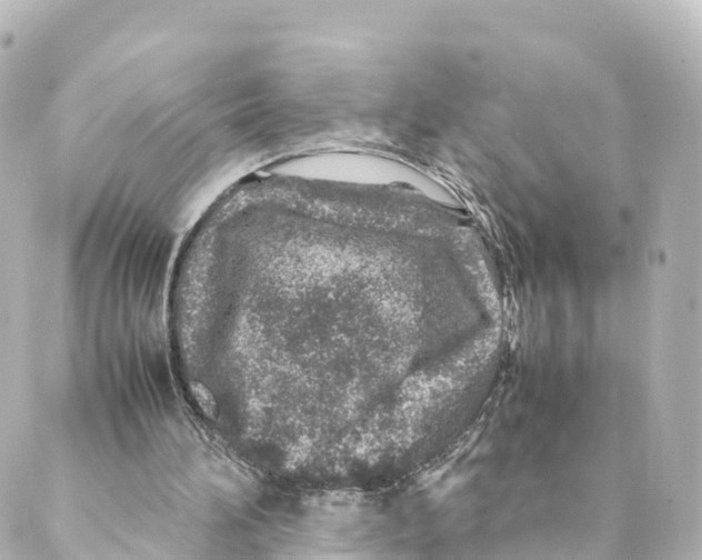 X0000088620196200706221504