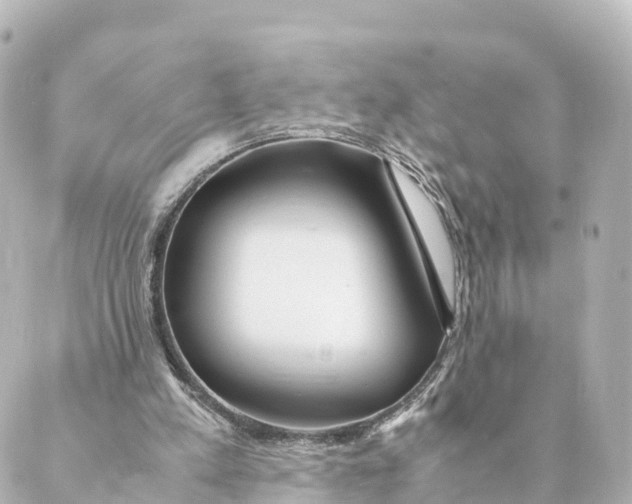 X0000088620197200706221504