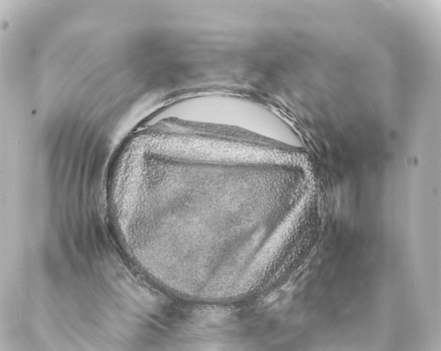 X0000088620198200706221504