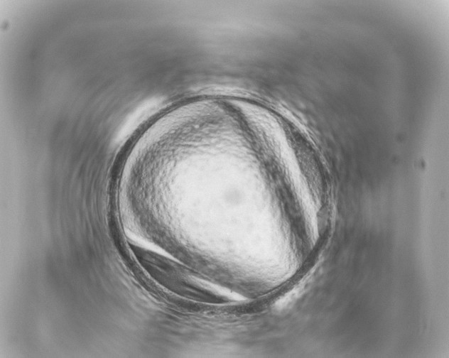 X0000088620199200706221504