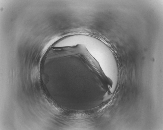 X0000088620200200706221504