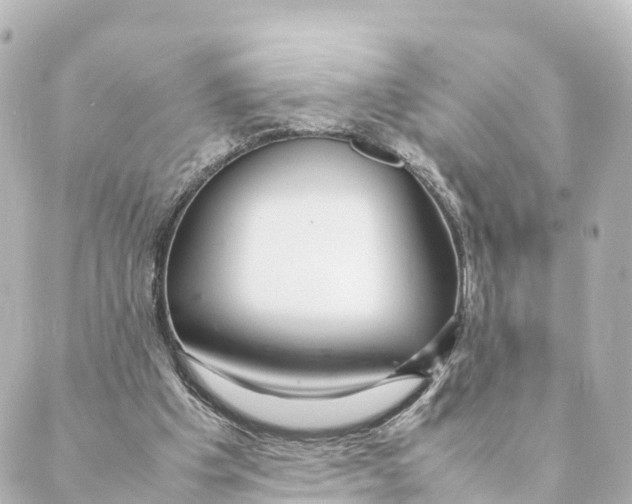 X0000088620201200706221504