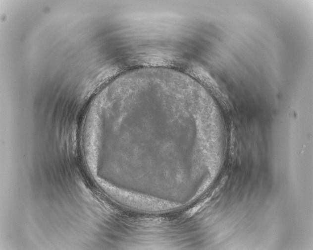 X0000088620202200706221504