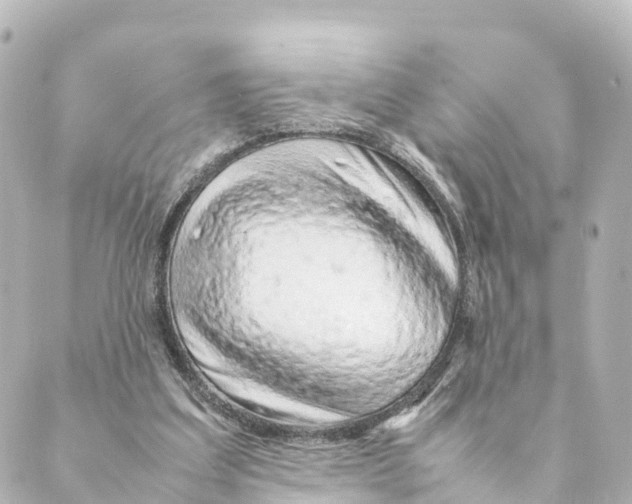 X0000088620203200706221504