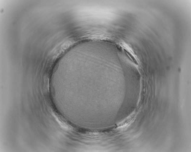 X0000088620205200706221504