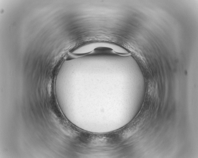 X0000088620206200706221504