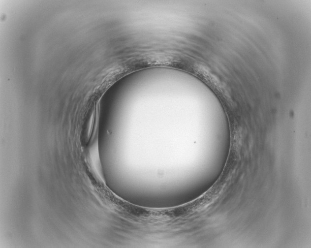 X0000088620209200706221504