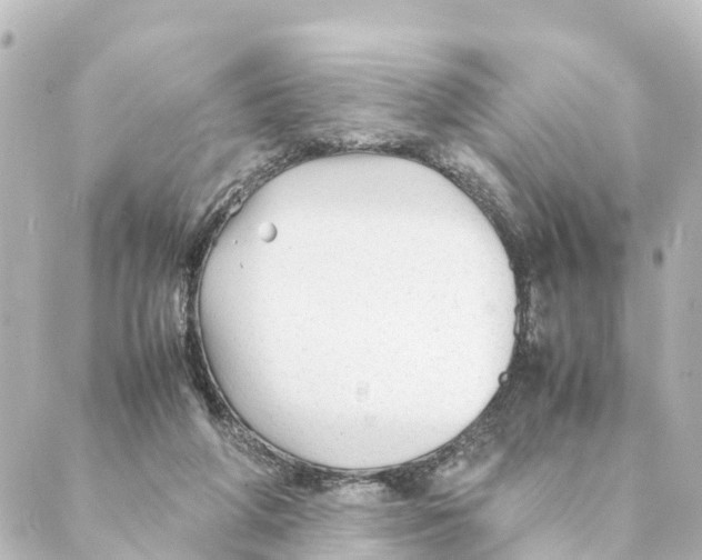 X0000088620210200706221504