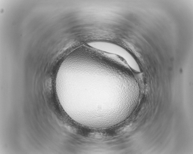 X0000088620211200706221504