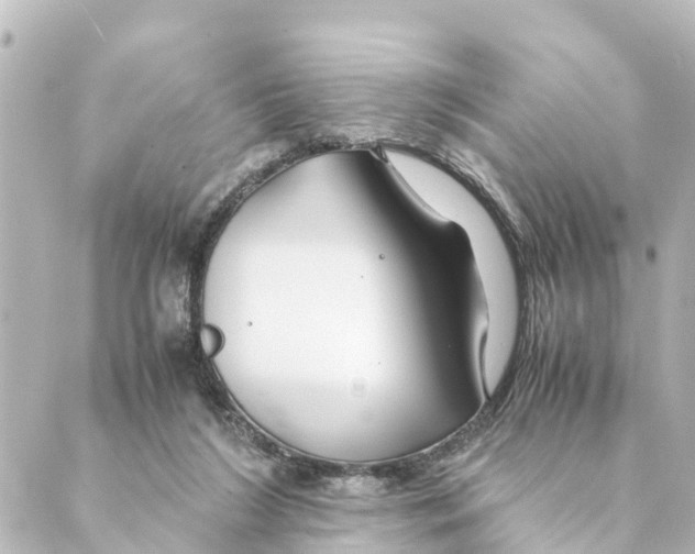 X0000088620212200706221504