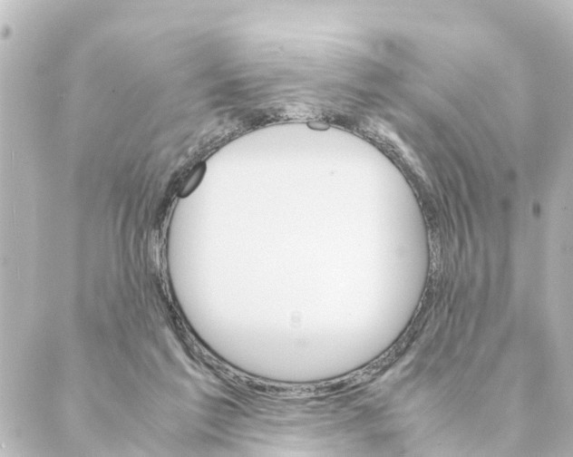 X0000088620213200706221504