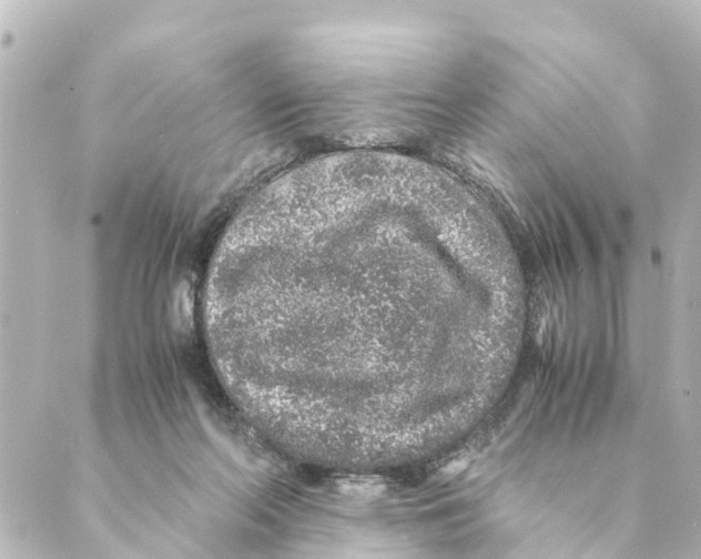 X0000088620214200706221504