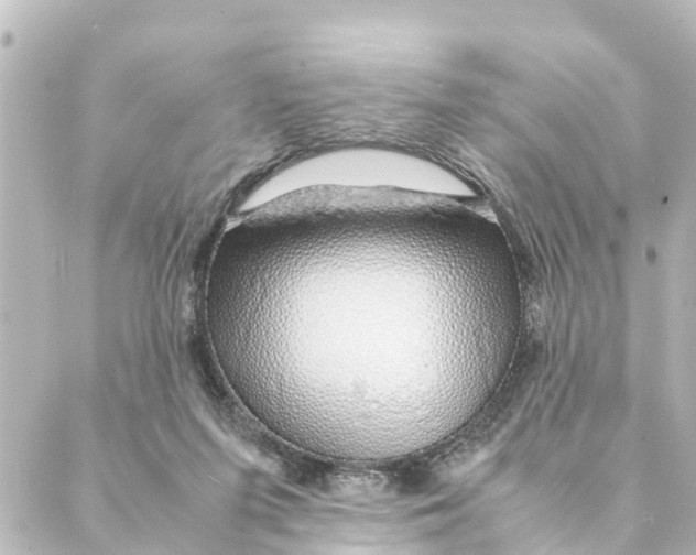 X0000088620215200706221503