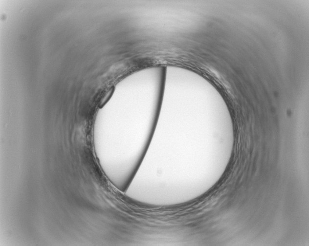 X0000088620217200706221503