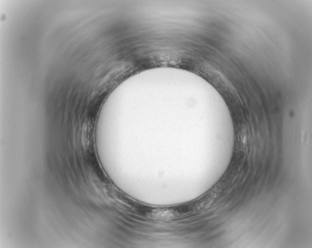 X0000088620218200706221503