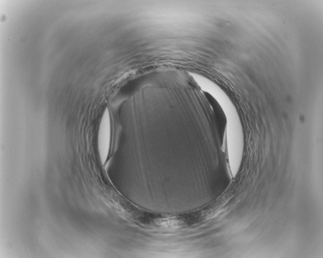 X0000088620219200706221503