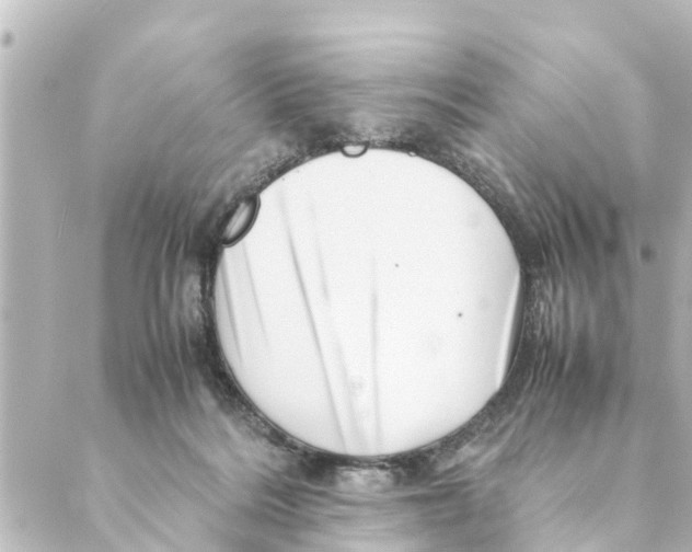 X0000088620220200706221503