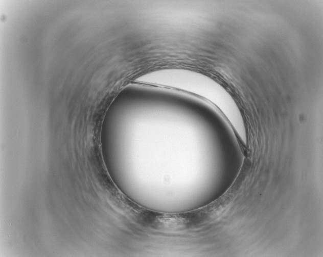 X0000088620221200706221503