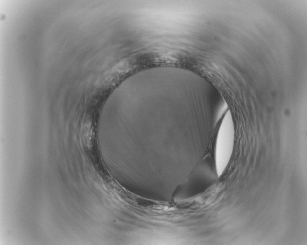 X0000088620223200706221503