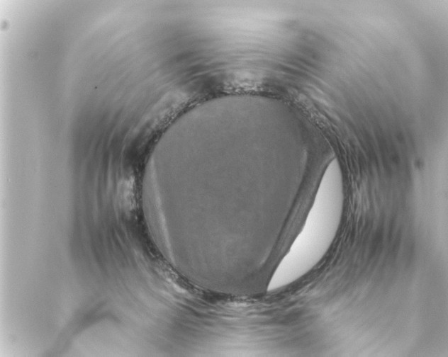 X0000088620224200706221503