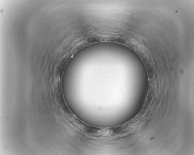 X0000088620225200706221503