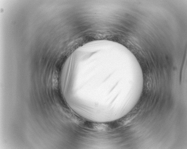 X0000088620226200706221503