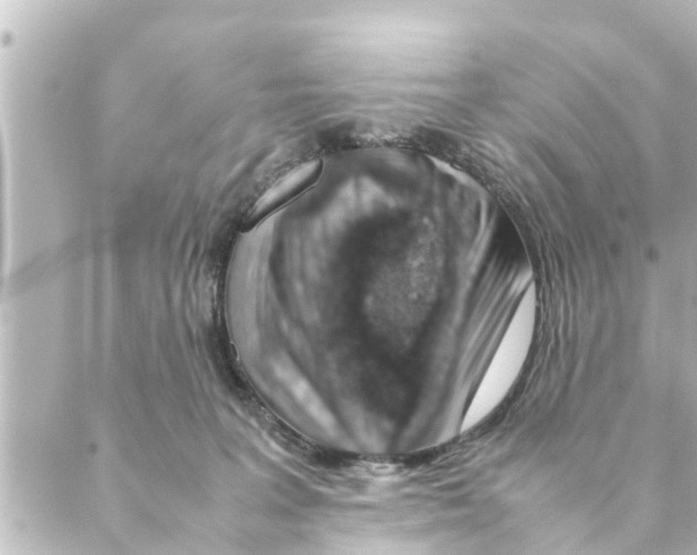 X0000088620227200706221503