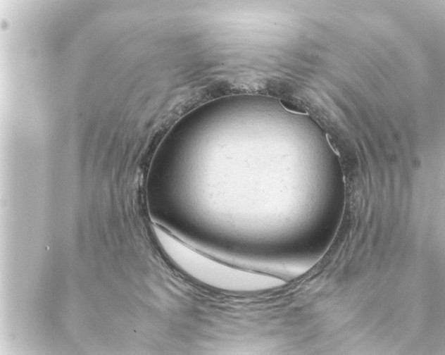 X0000088620229200706221503