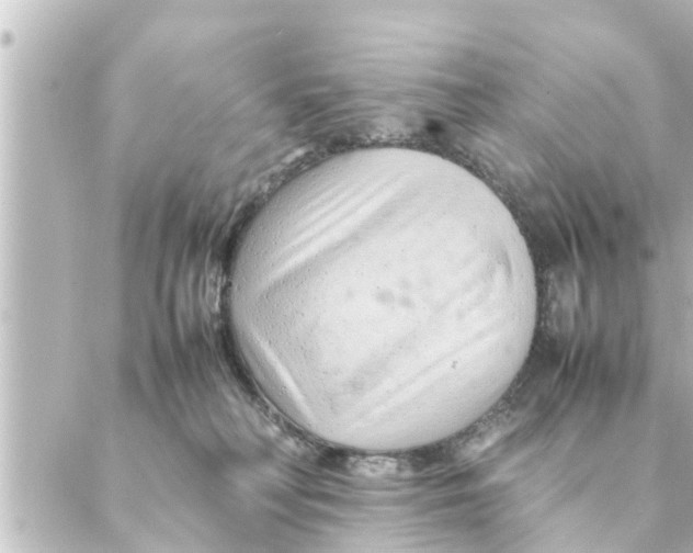 X0000088620230200706221503