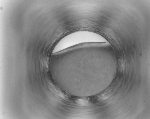 X0000088620232200706221503