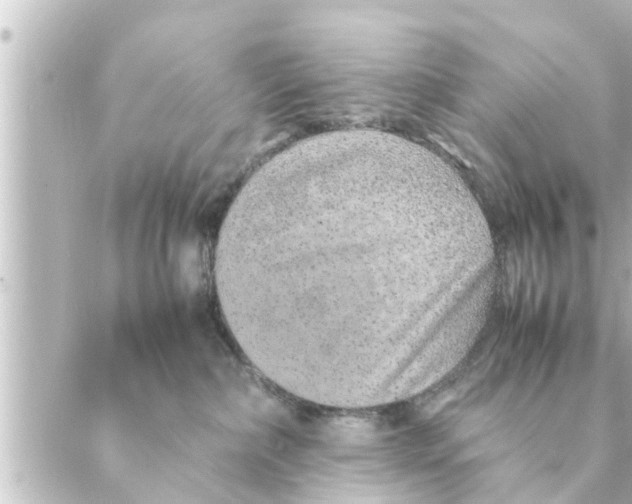 X0000088620236200706221503