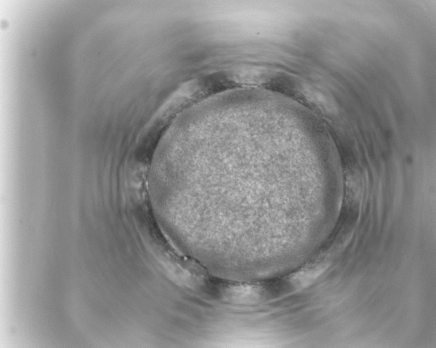 X0000088620237200706221503