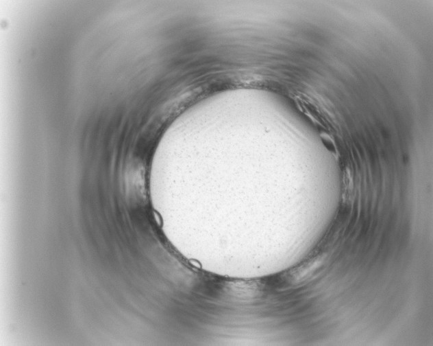 X0000088620238200706221503