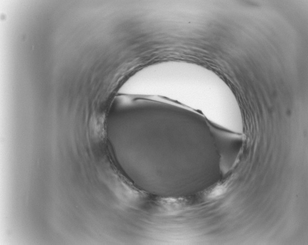 X0000088620239200706221503