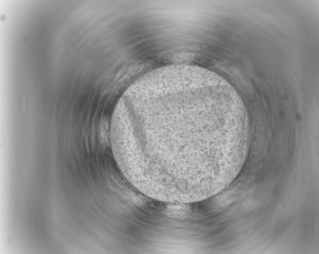 X0000088620240200706221503