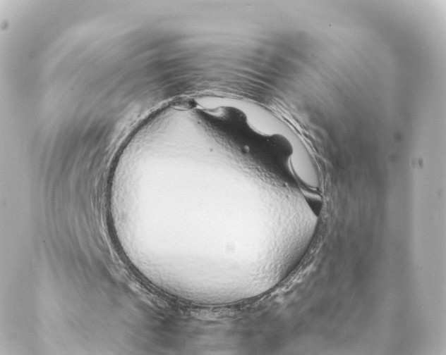 X0000088620241200706221502