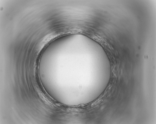 X0000088620242200706221502