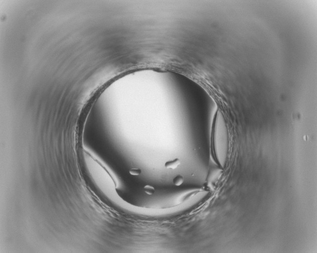 X0000088620244200706221502