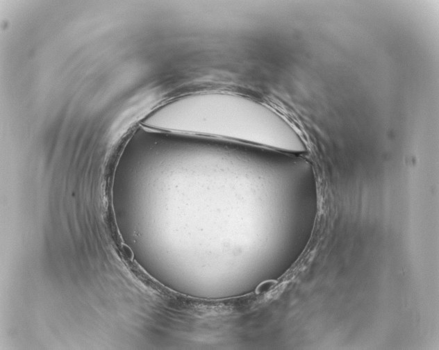 X0000088620245200706221502