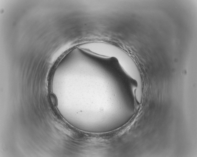 X0000088620246200706221502