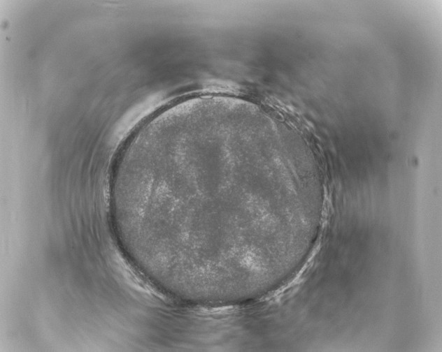 X0000088620247200706221502