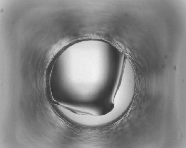 X0000088620248200706221502