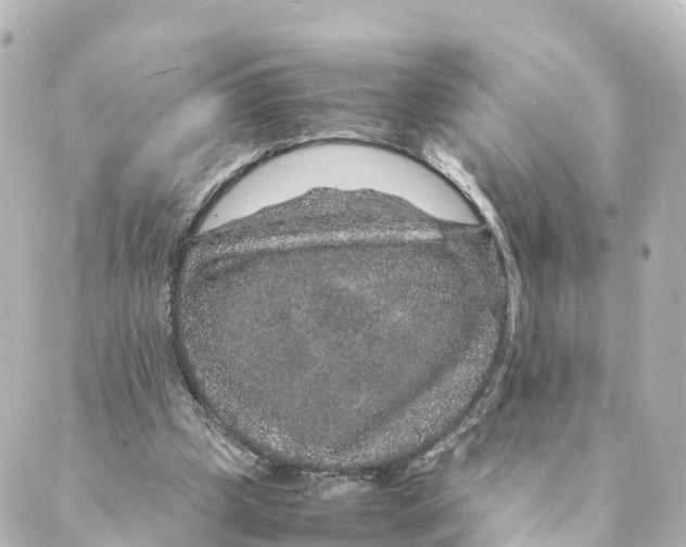 X0000088620249200706221502