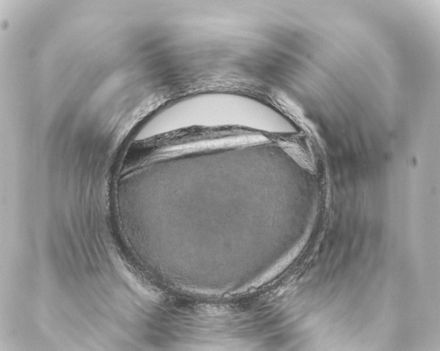 X0000088620250200706221502