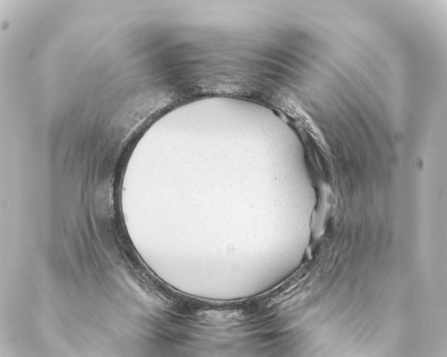 X0000088620251200706221502