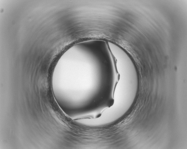 X0000088620252200706221502