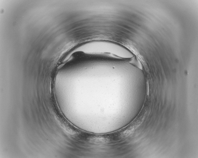 X0000088620253200706221503